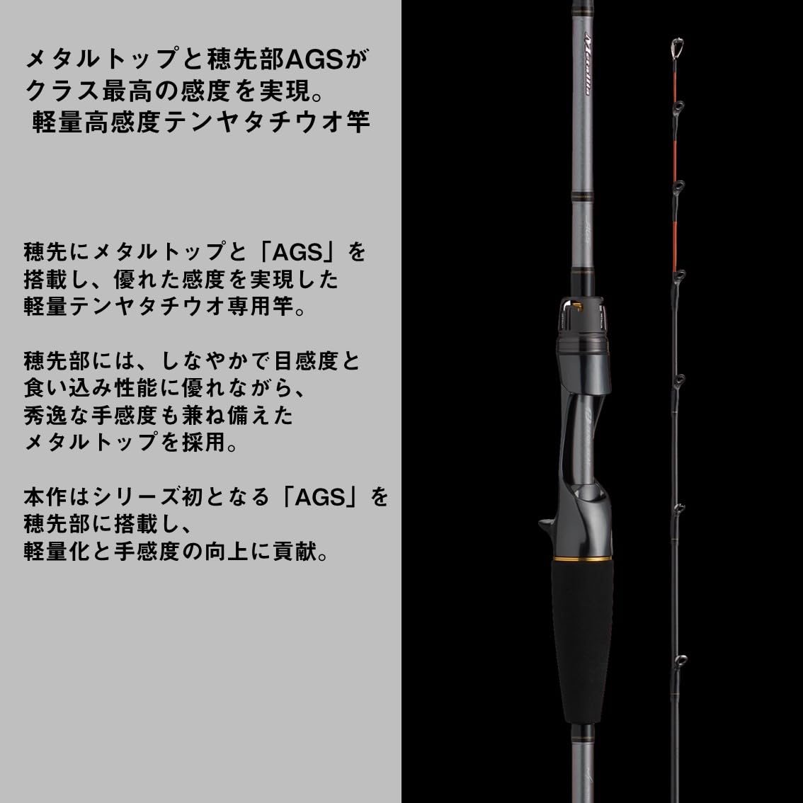 Amazon | ダイワ(DAIWA) 船竿 メタリアテンヤタチウオ 82-175・E | 船