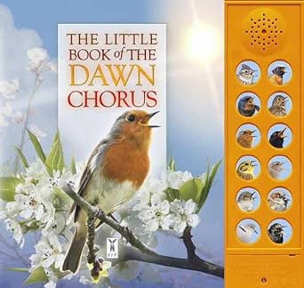 Little Book Of The Dawn Chorus