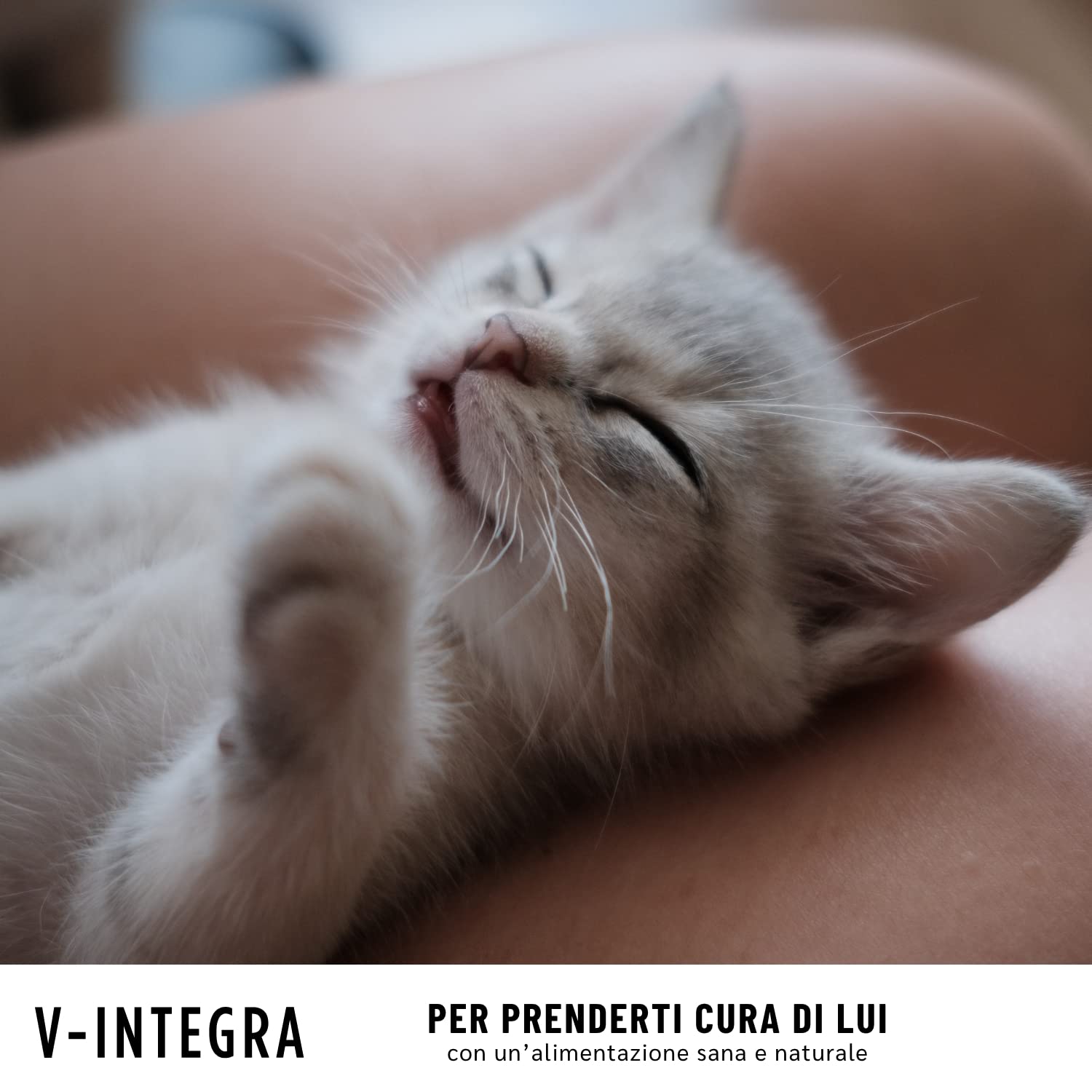 V-INTEGRA Gattino - Integratore Completo Ricco di Vitamine e Minerali, per la Dieta Casalinga del gatto cucciolo - 200g - Made in Italy