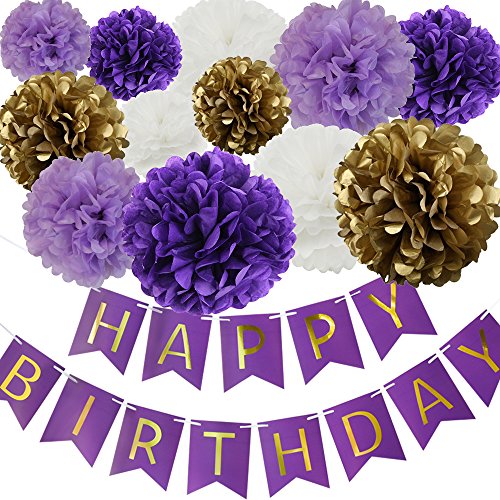 Happy Birthday Party Decoration Kit Purple Happy Birthday Banner with Purple Tissue Paper Pom Poms Paper Flowers