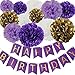 Happy Birthday Party Decoration Kit Purple Happy Birthday Banner With Purple Tissue Paper Pom Poms Paper Flowers