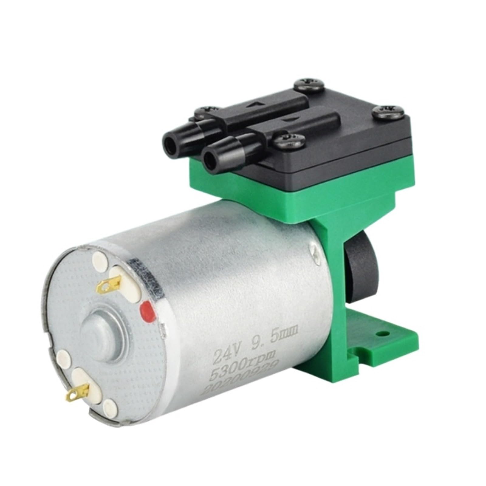DEBLAN Micro Bomba de vacío con Cepillo de 6v, Bomba de Aire pequeña de muestreo de 12v, Bomba de presión Negativa de 24v(12V)