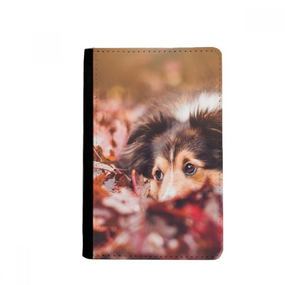 Dog Pet Animal Leaf Photo Passport Holder Notecase Burse Wallet Cover Card Purse