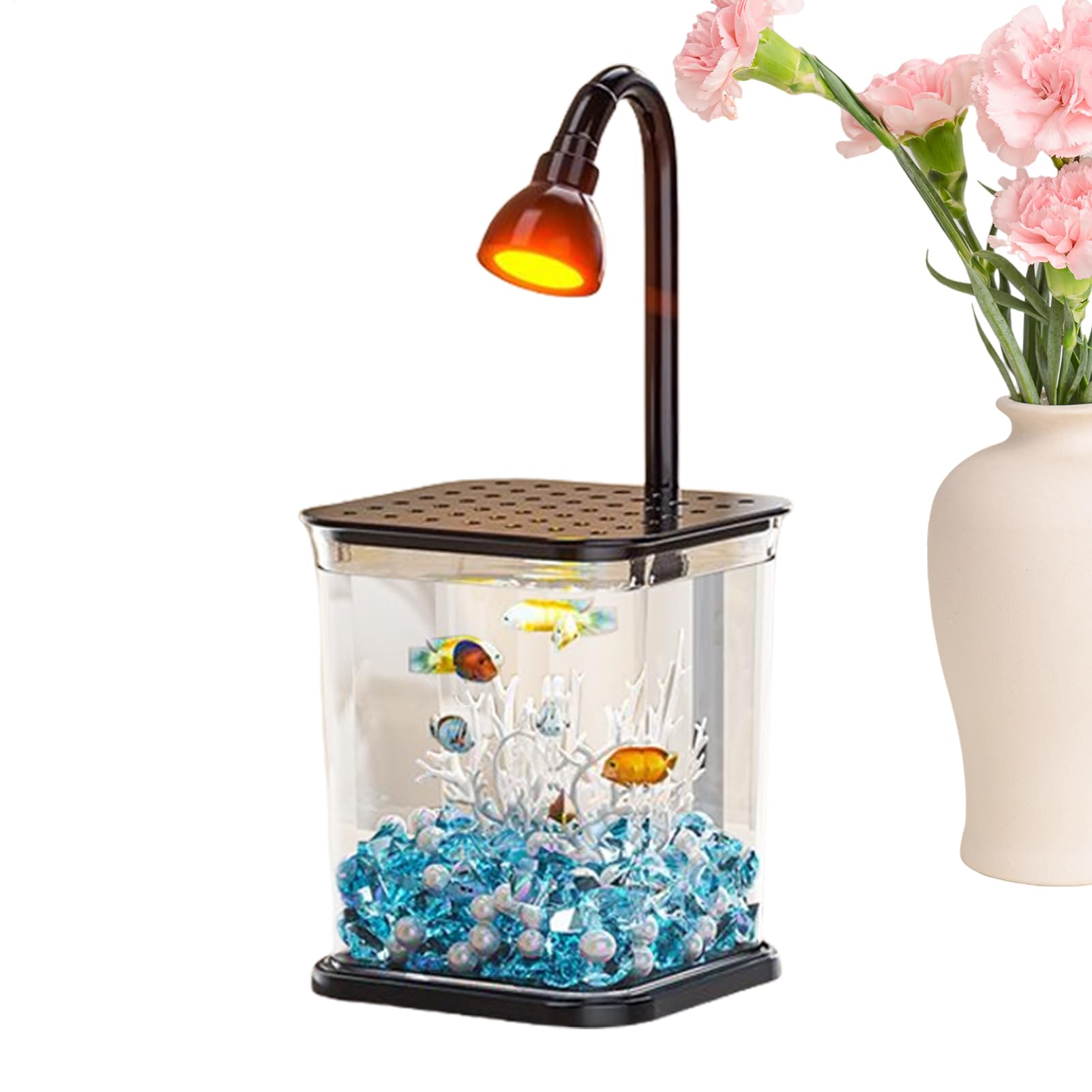 Aquarium transparent compact avec lampe intégrée pour décor de table