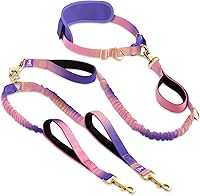Vista 31 de SparklyPets - Correa doble para perros con manos libres – Correa doble para razas medianas y grandes – Correa para 2 perros con asas acolchadas