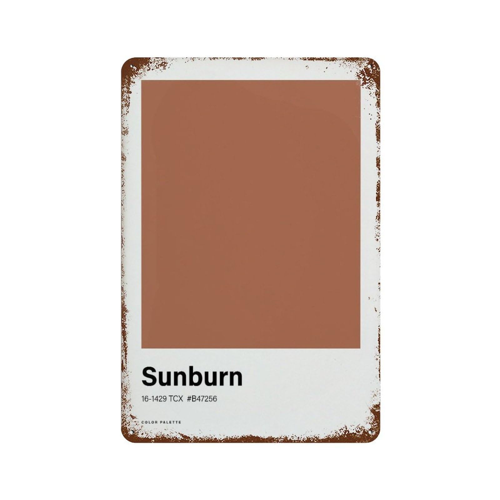 xiaoxiaoshen Sunburn Color Palette Boho Neutral Wall Decor Art Metal Tin Poster Modern Home Decor Art Home Bar Shop Decorations Vintage Sign 30x20cm