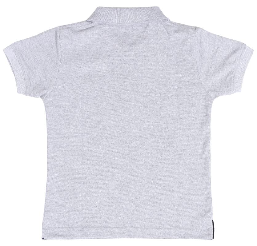 Image of Boys Cotton Matty Polo T-Shirt Combo - Pack of 2, Soft Textured Fabric, Half Sleeves, Casual Wear