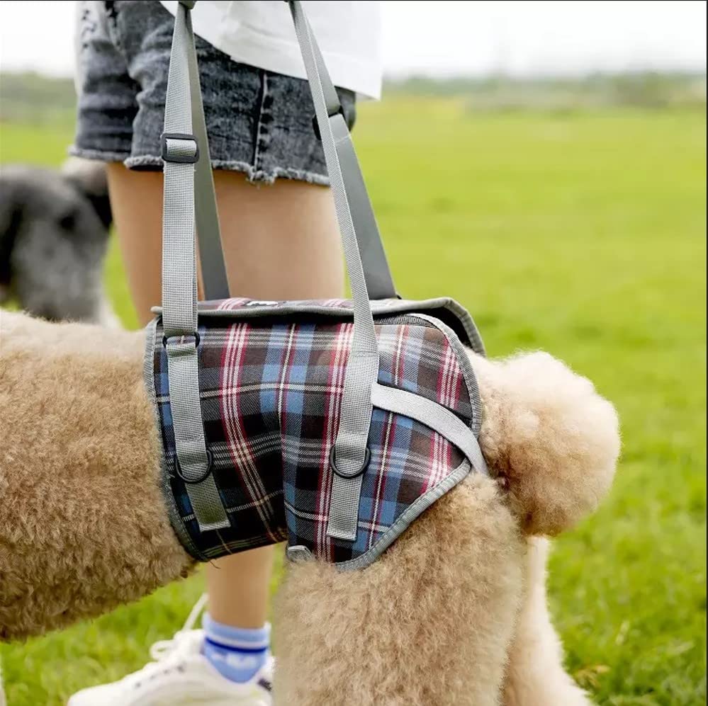 Entry and carrying aid for dogs especially for hip problems for injured elderly or restricted dogs (M), Orange - Image 3