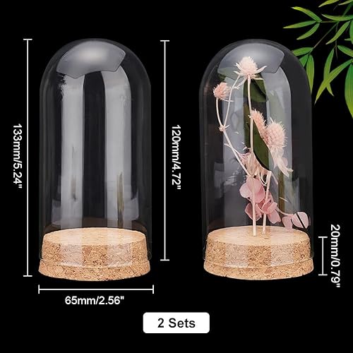 Miniatura 3 de PH PandaHall Cúpula de cristal transparente Cloche, vitrina con base de corcho, botellas de decoración para almacenamiento de flores, decoración de
