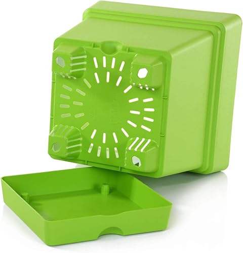 Miniatura 40 de Mintra - Macetas de plástico para plantas, maceta cuadrada para plantas de interior y exterior, macetas de jardín con platillos y agujeros de verde