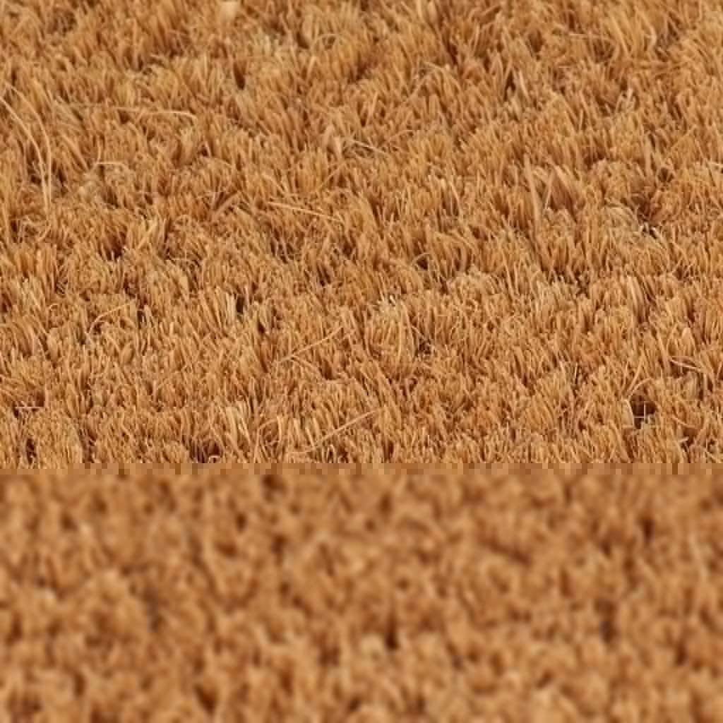 Paillasson en fibre de coco - 60 x 90 cm - Naturel touffeté - Avec dessous antidérapant - Pour entrée - Pour l'intérieur et l'extérieur - Matériau durable - Anti-saleté