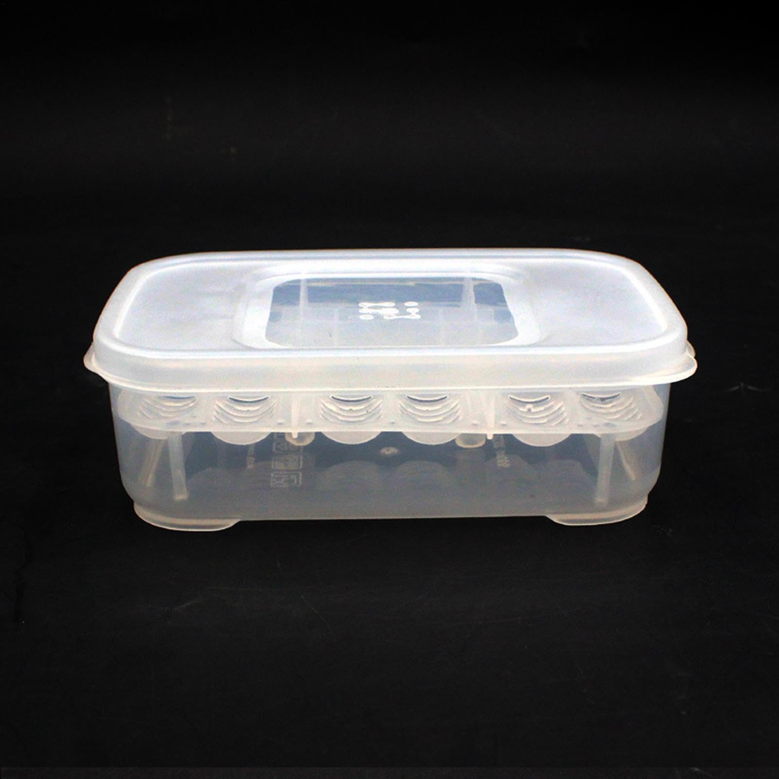 Boîte d'incubation de reptiles – Plusieurs emplacements, plateau d'incubation transparent, récipient pour œufs d'amphibiens | Gecko lézard serpent Lions crinière tortue habitats de reproduction Terrar