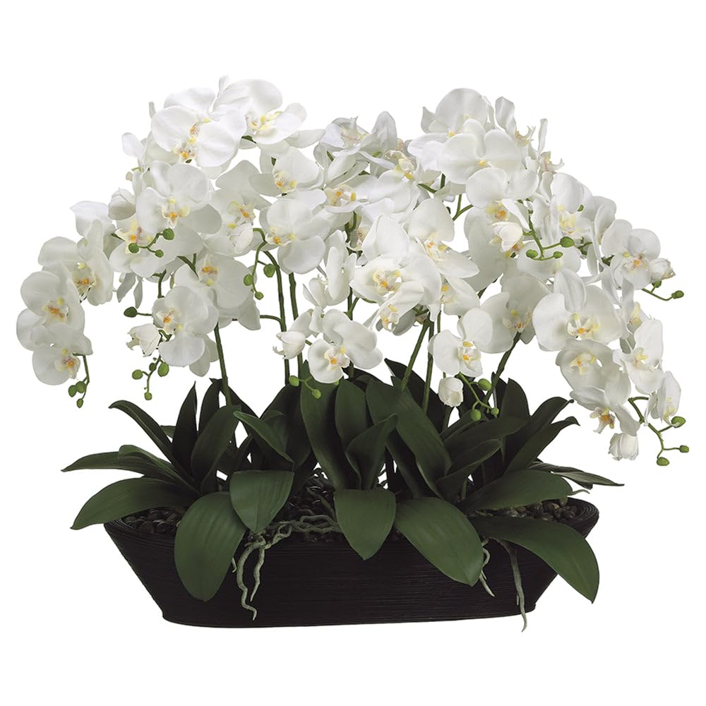 SilksAreForever 27 Hx30 W Phalaenopsis Orchid Silk Flower Arrangement -Cream