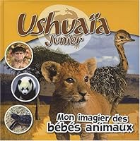 Mon Imagier Des Bébés Animaux 2874318965 Book Cover