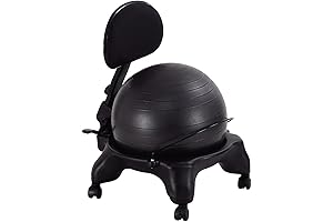 Aeromat Adjustable Active Sitting Exercise Ball Chair