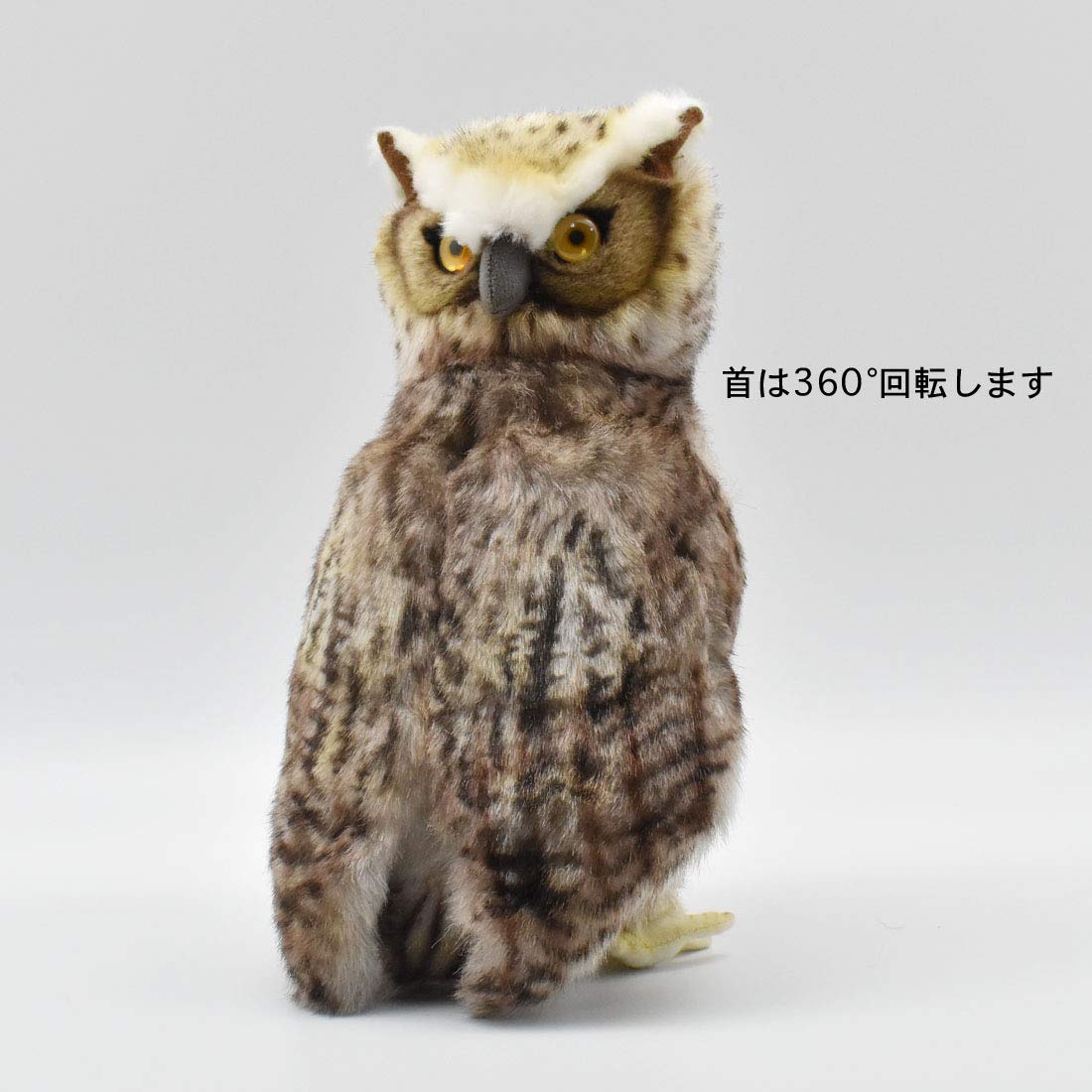 BH6767 HANSA Spotted Owl 26 | eBay