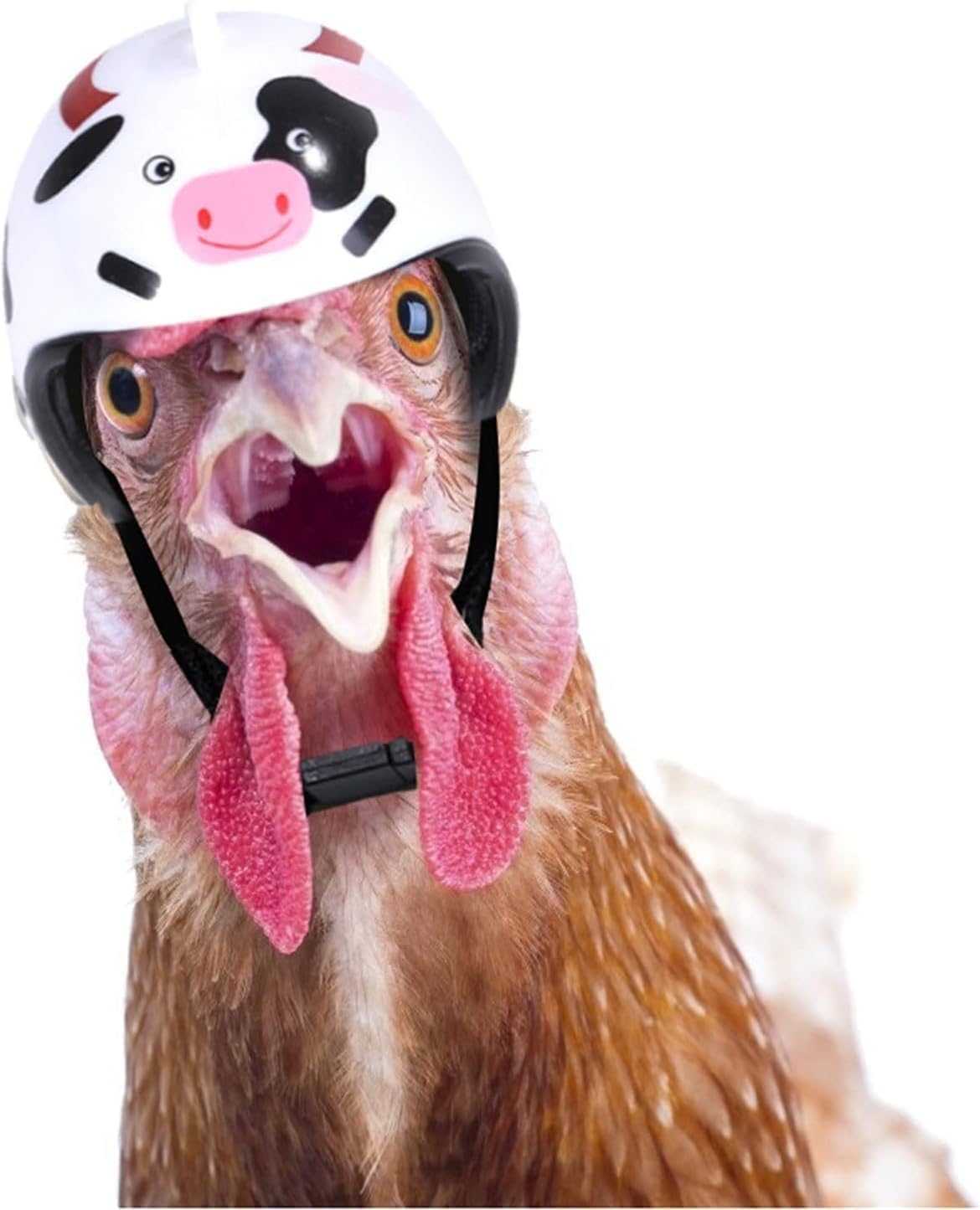 Casco de pollo blanco, elegante sombrero de gallina, correa elástica ajustable, accesorios creativos y divertidos de encaje para mascotas, sombrero de moda para gallo, pato, loro, aves de corral