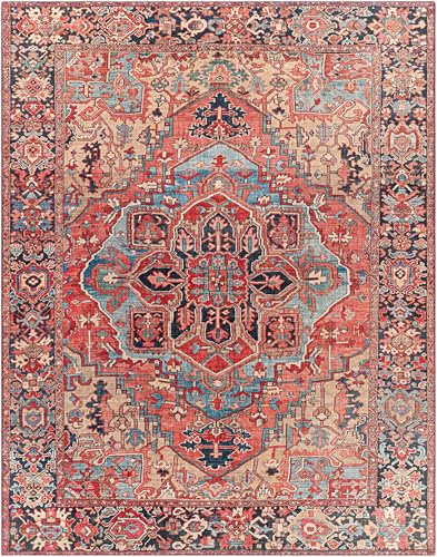 BoutiqueRugs Neyland Traditional Medallion Area Rug - Performance and High Traffic Carpet for Living Room, Dining Room, Bedroom - Red, Blue, Pink - 8'10" x 12' (9x12)
