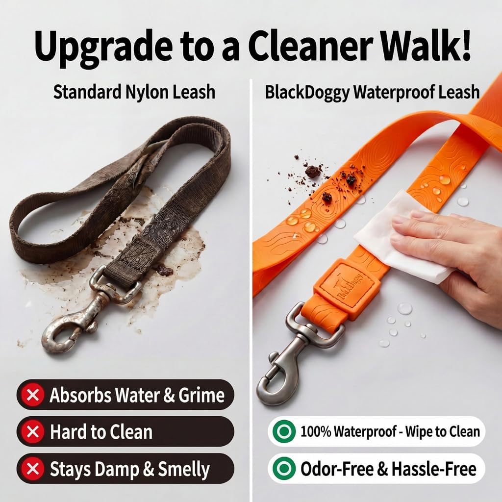 5FT Waterproof Embossed PU Dog Leash, Odor-Free, Soft & Durable, Pet Lead for Small, Medium and Large Dogs (Large, Orange)