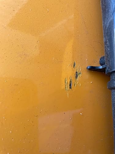 Review Image by Navin K.