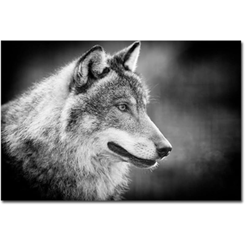 現代のキャンバス絵画黒と白のクールなオオカミ動物の壁アートポスターとプリント家の装飾キャンバスにプリント 50x70cm フレームレス Cgo1qpaugz Www Saint Venant Fr