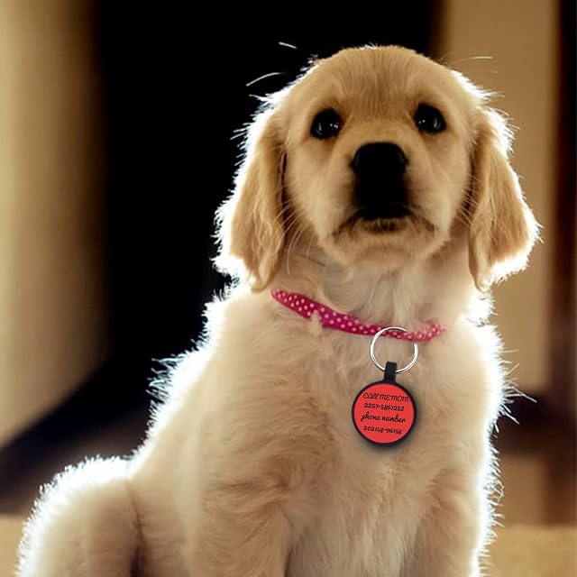 Foto 3 de 7 de CAMAL 2 Piezas Chapa Perro Grabada, Placas para Perros Grabadas Sin Ruido Silicona