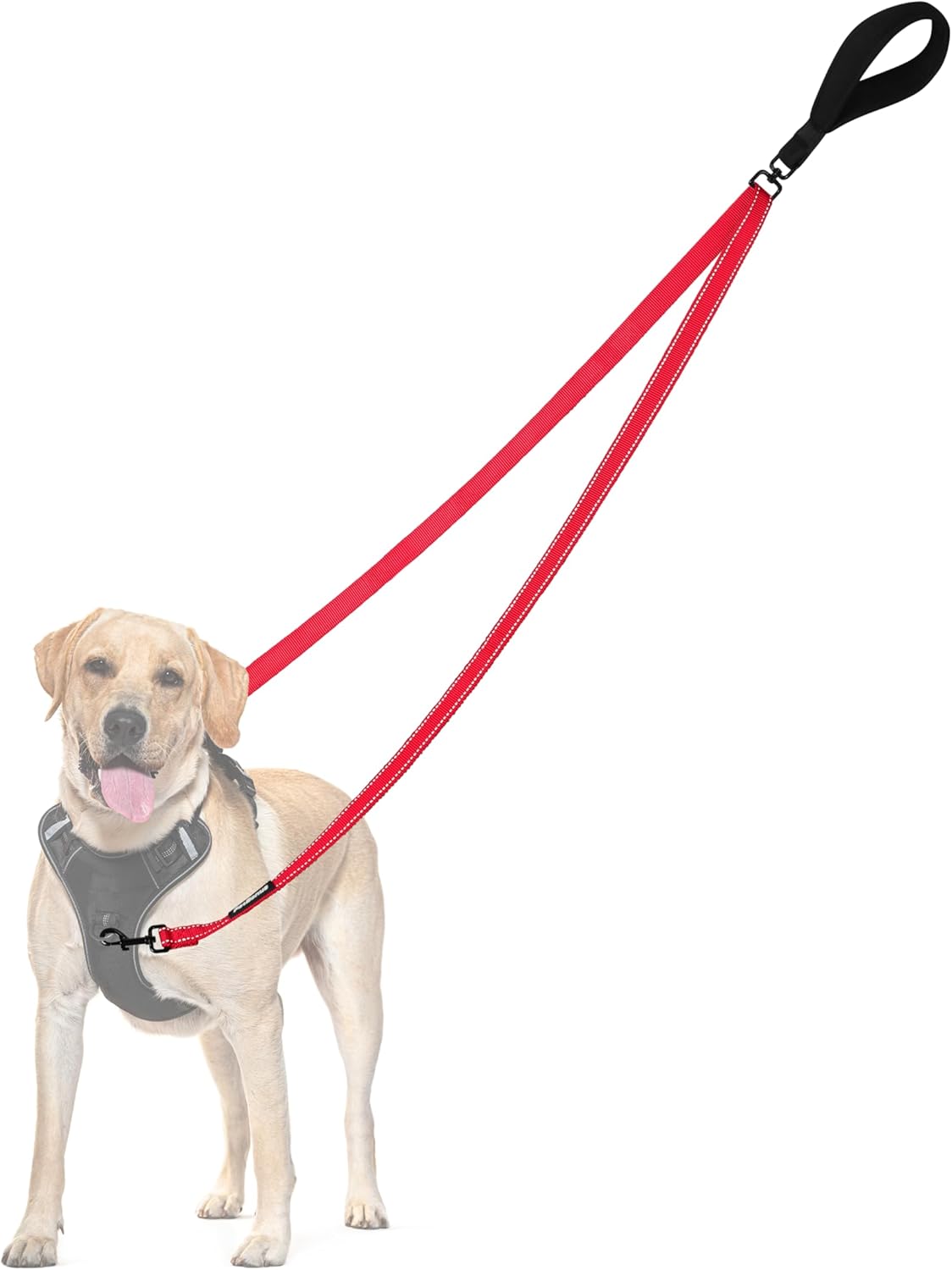 PetBonus Two Point Control Dog Leash and Dog Seat Belt for Car