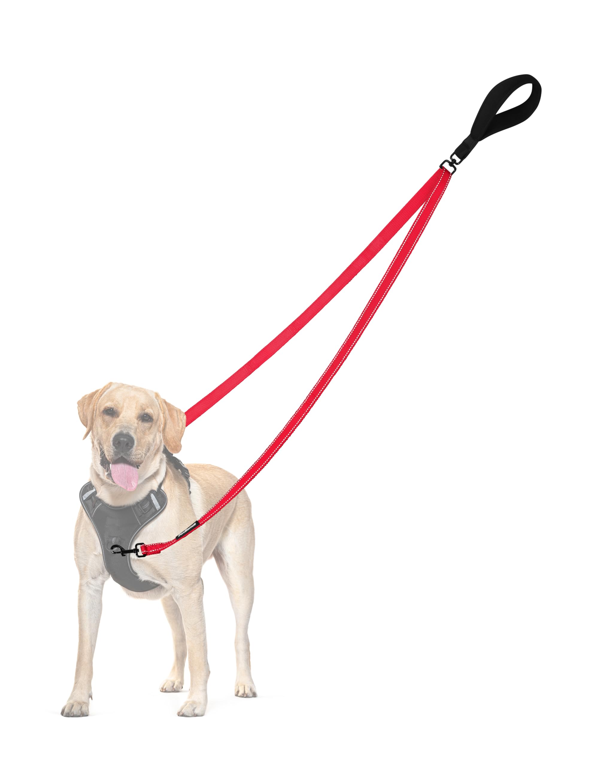 PetBonus Two Point Control Dog Lead, Works with No Pull Harnesses, No Tangle Training Leads