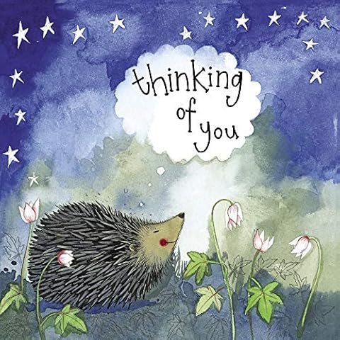 ALEX CLARK Hedgehog Birthday Card and Envelope Cover