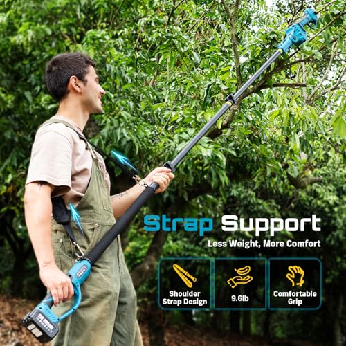 Seesii PS041Pro Cordless Pole Chainsaw Review