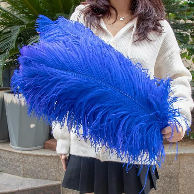 TUITA 10pcs White Large Ostrich Feather 15-55cm for Wedding Party Carnival Decoration Natural Ostrich Feathers Crafts DIY Accessories