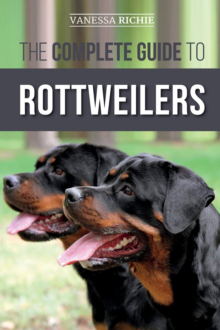 Rottweiler visual data 6