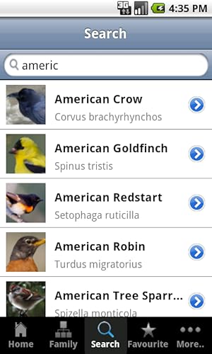 Backyard Birds Of America