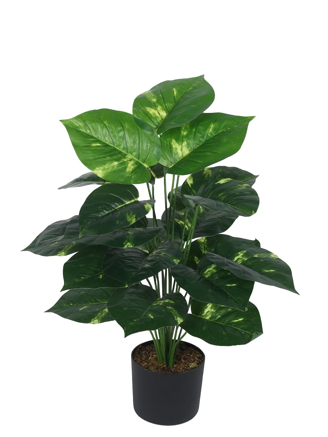 Home Bloom Artificial PVC Photosh Big Leaves Plants for Indoor & Outdoor with Pot (24 Leaves, 80 cm Tall, Multicolor)