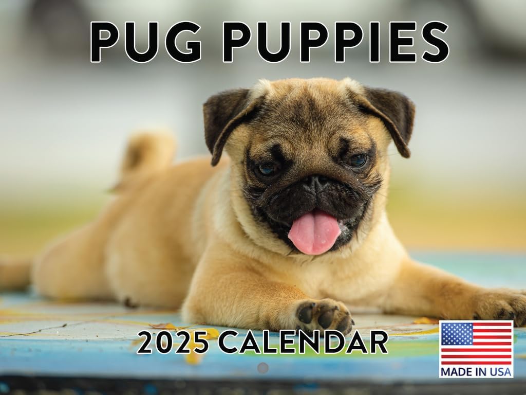 Pug Mugs 2025 12