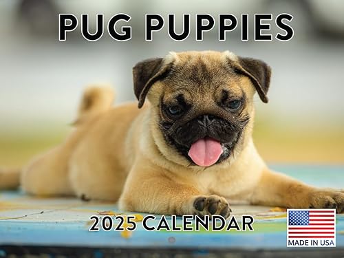 Vista 39 de Calendario Goldendoodle 2026 Golden Doodle mensual de pared calendario de 12 meses Fabricado en Estados Unidos