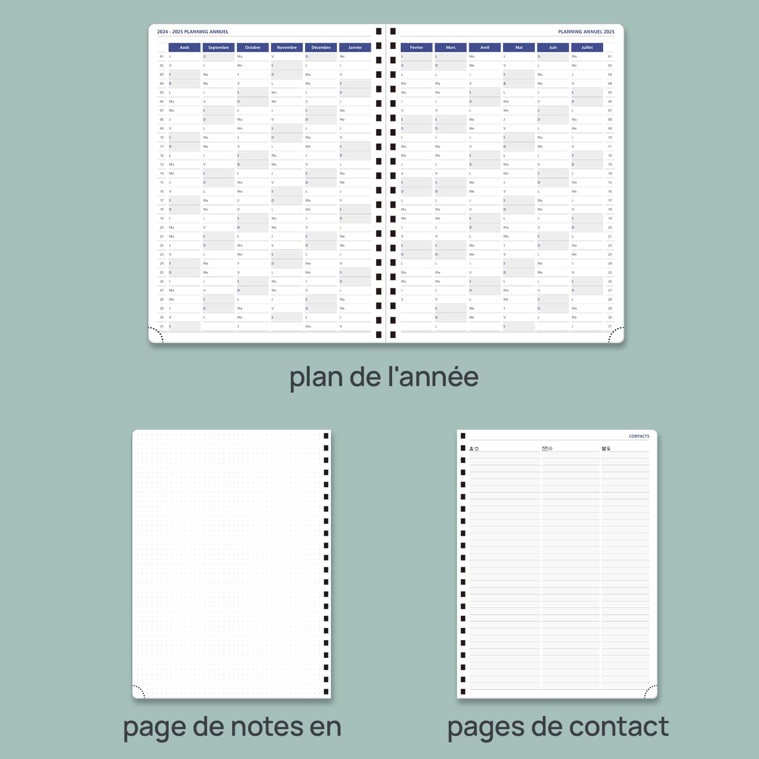 Agenda 2026 Jour Par Page A5 Bleu Paon - Agenda Quotidien Mensuel Avec Onglets Colorés, Design Floral, Porte-Stylo Élastique