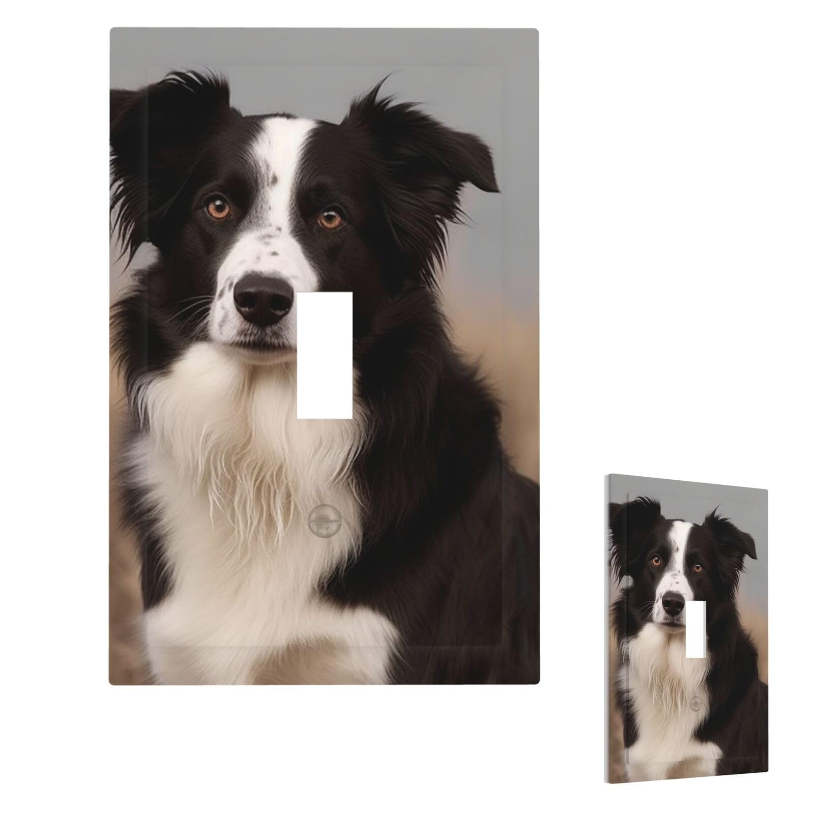 Border Collie Wall Plate Cover Single Toggle, Modern Decorative Light Switch Cover Unbreakable Receptacle Outlet Covers for Living Room Bedroom Decor