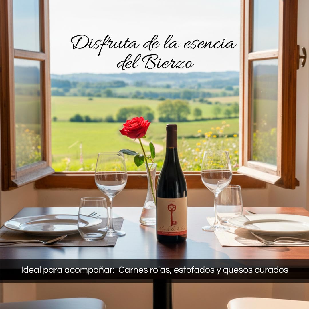 Alto de la Judiega Crianza D.O del Bierzo | Cosecha 2020 | 100% Mencía en roble francés | Pack de 6 botellas de 750ml