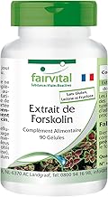 fairvital Forskolin extract, 90 capsules, easy to swallow, based on Coleus Forskohlii extract, quality controlled and highly dosed, 100% vegan, made in Germany