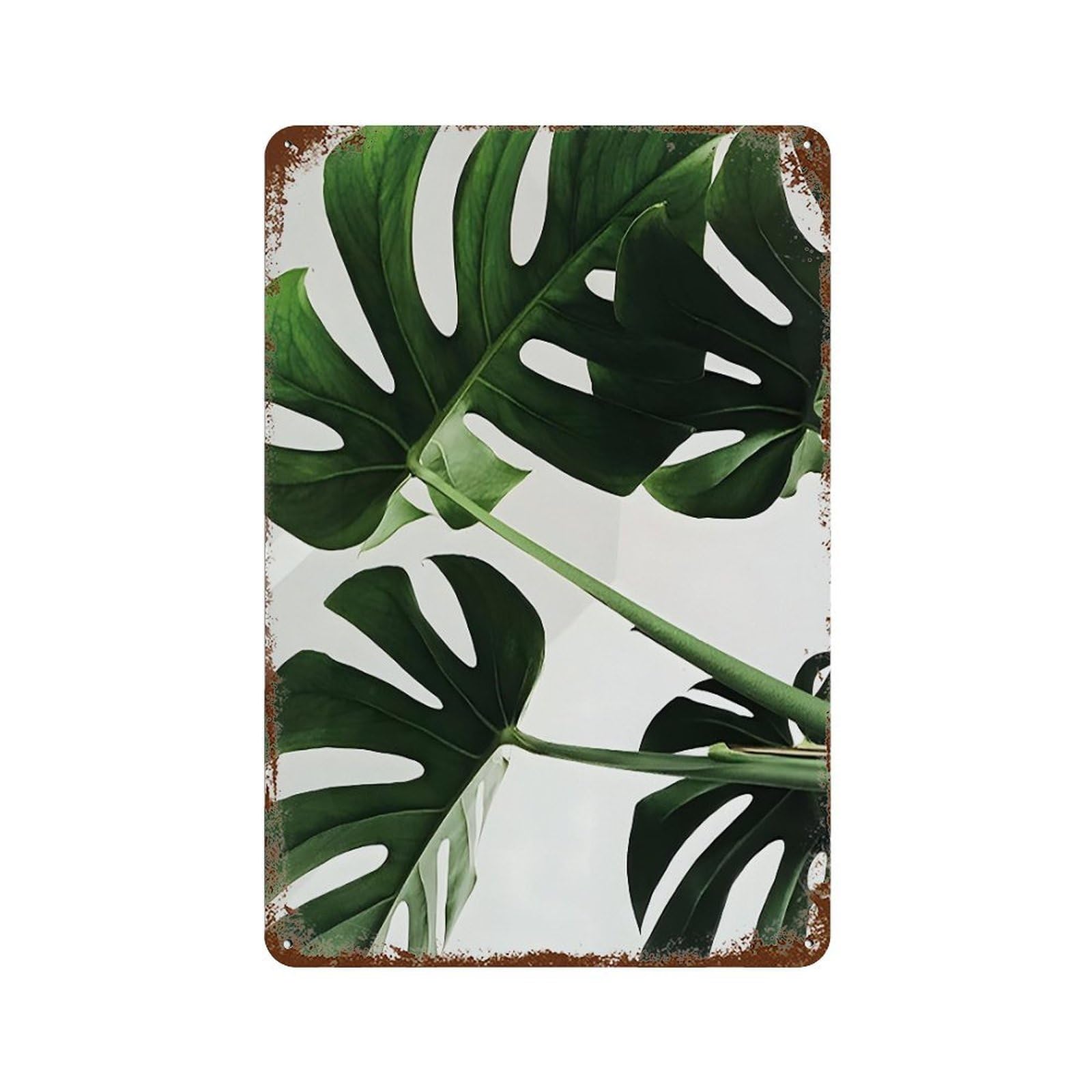 xiaoxiaoshen Tropical Leaf Wall Decor Art Metal Tin Poster Modern Home Decor Art Home Bar Shop Decorations Vintage Sign 30x20cm