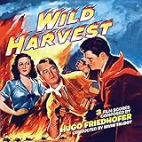 Intrada