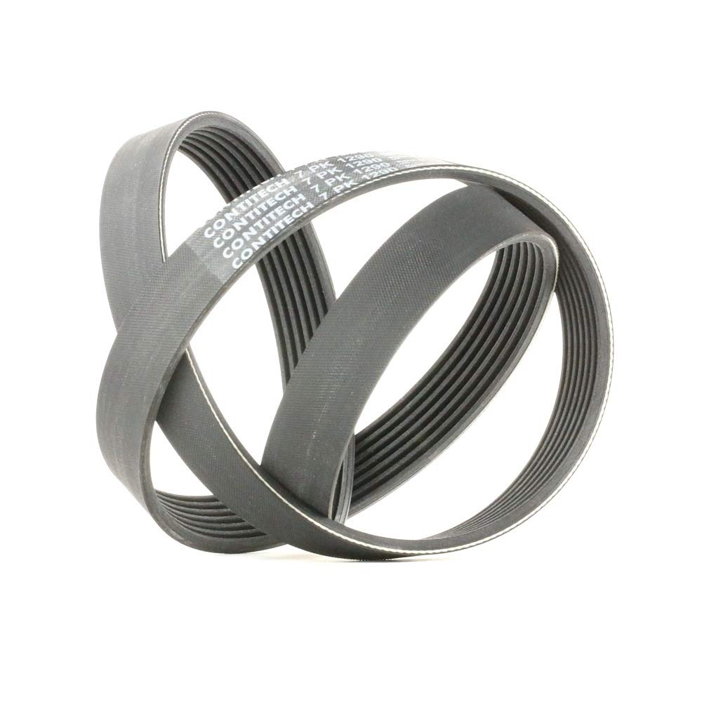 Multi-ribbed V-belt 7PK1290 CONTINENTAL CTAM for VW FORD MERCEDES-BENZ