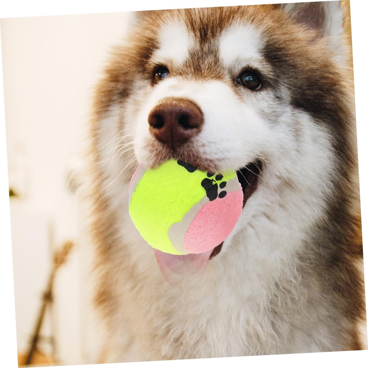 Abaodam 16pcs Dog Tennis Balls Pet Plush Training 7cm Diameter Portable Outdoor Puppy Balls for Medium and Small Dogs Interactive Throwing Exercise Random Color