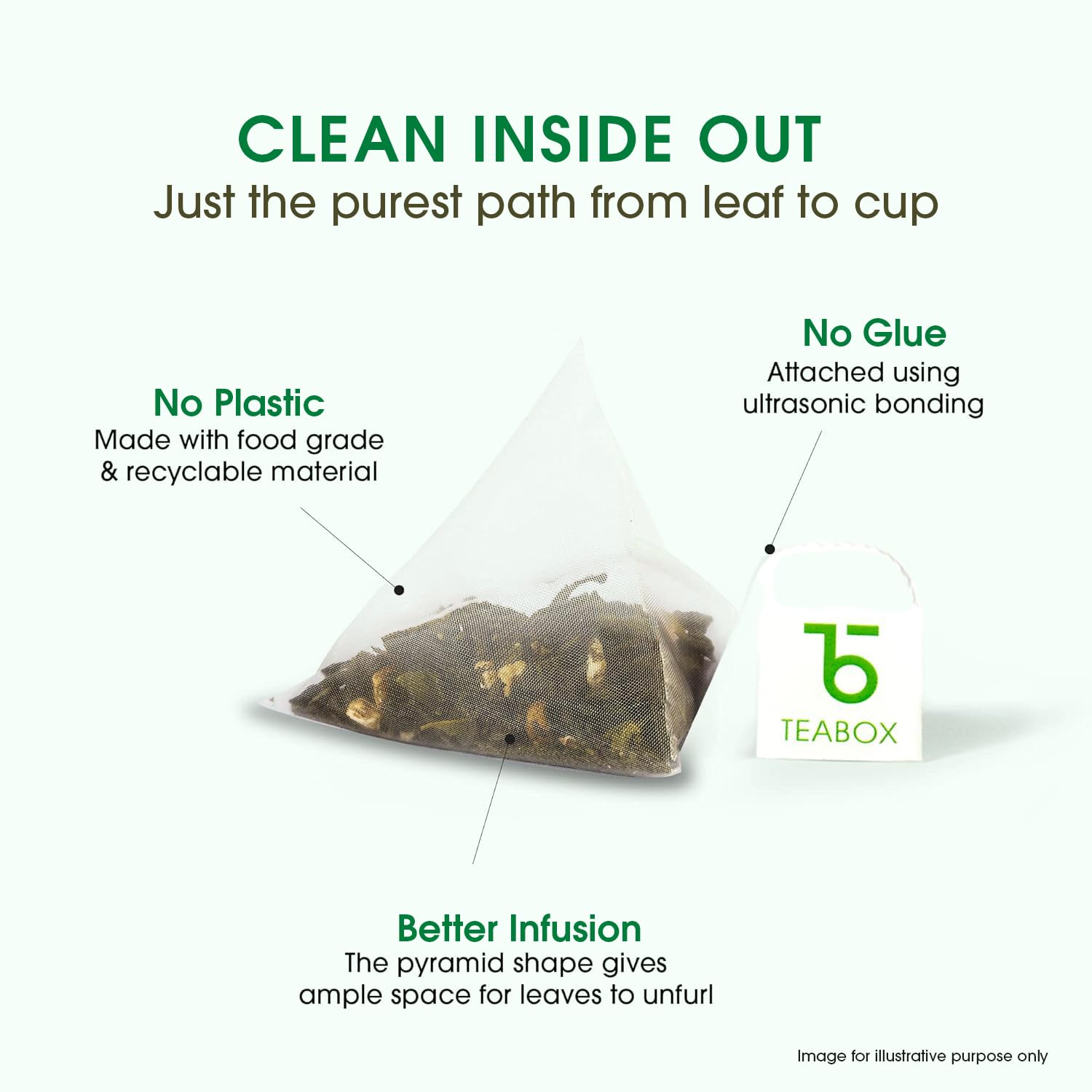 Teabox Mint Green Tea | 25 Tea Bags with Premium Green Tea & Real Peppermint Leaves | Refreshing, Cooling & Smooth | Low Caffeine | Clean Ingredient Blend 2