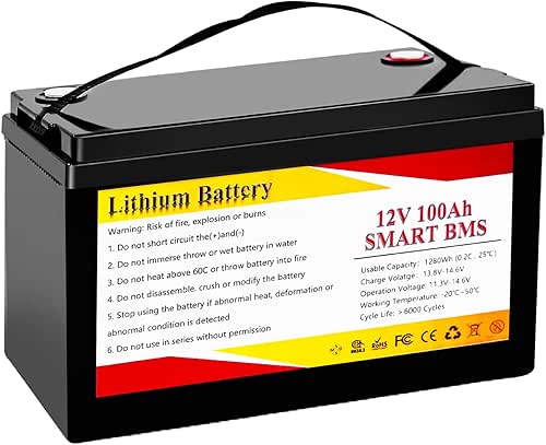Generic Lifepo4 Battery 12 V 100 Ah Compatible with Multiple