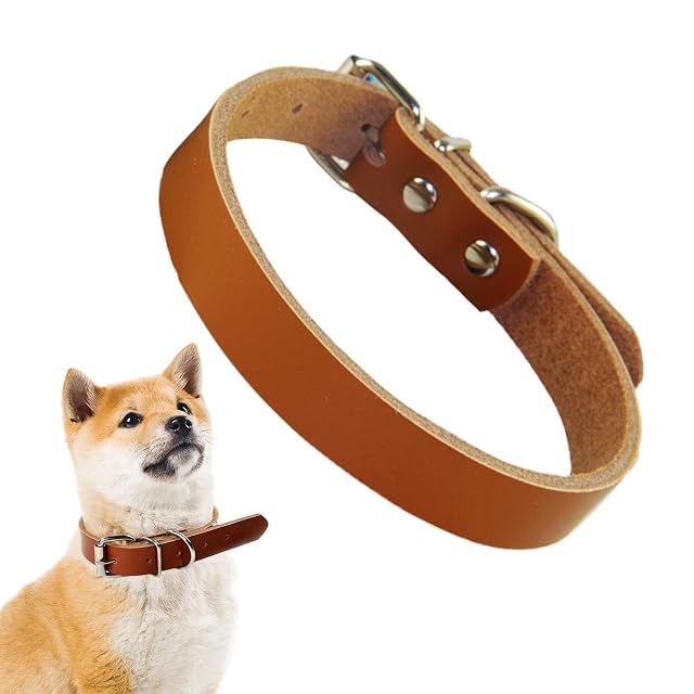 Foto 7 de 8 de Collar de cuero para mascotas, collares de cuero para cachorros