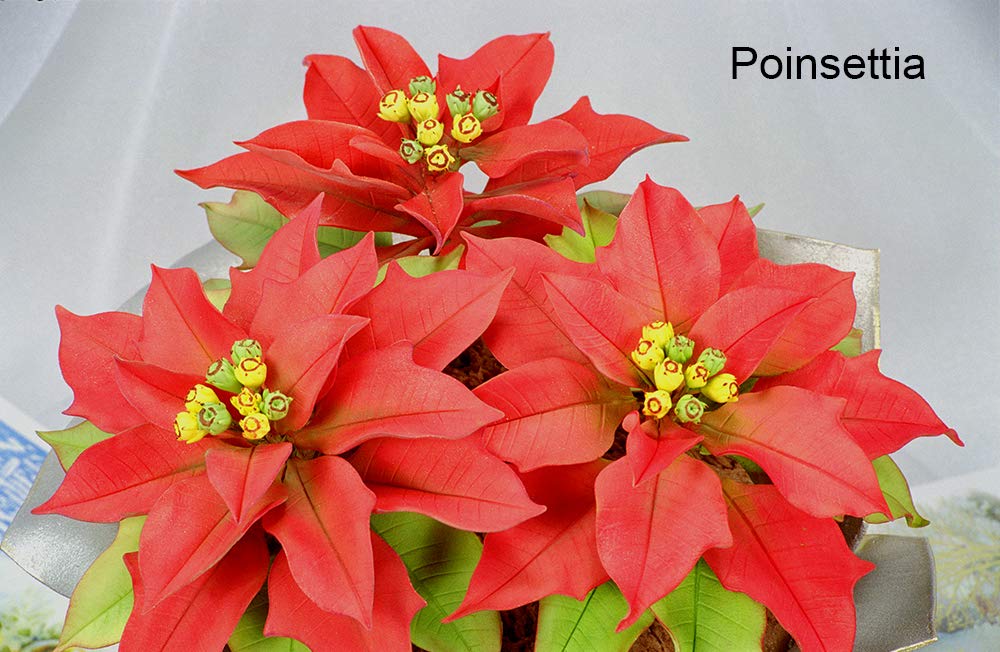 Holiday Flowers in Sugar with Scott Clark Woolley