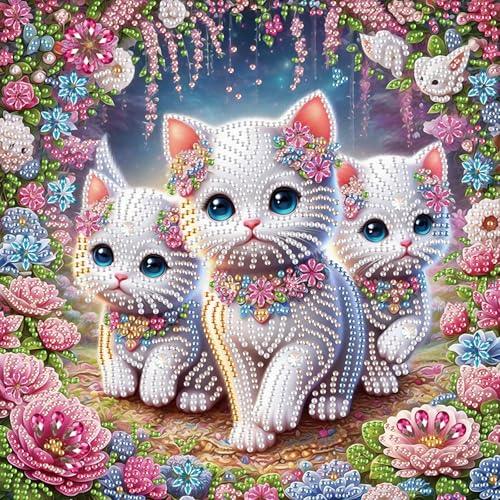 Image of AiYuanzsh DIY Diamond Art Painting Kits for Adults, 5D Special Shape Crystal Rhinestone Diamond Art Kits for Beginners, for Home Wall Decoration Gift 12x12 inch, Cute Cats