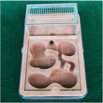 YKLL Ant Farm Plaster Plane Ant Farm Ant Nest Highly Moisturizing Insect Castle Ant House with Hunt Area Villa Gypsum Anthill Workshop Formicarium Feeding Box Birthday Present Gift Color B